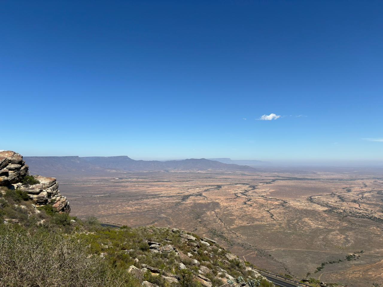 Invasive Prosopis vegetation in southern Africa being cleared for biochar production